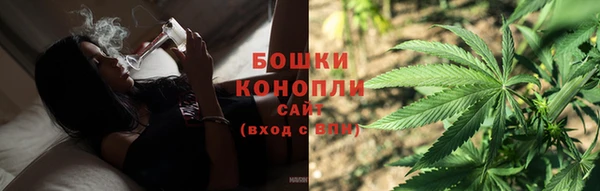 шишки Абаза