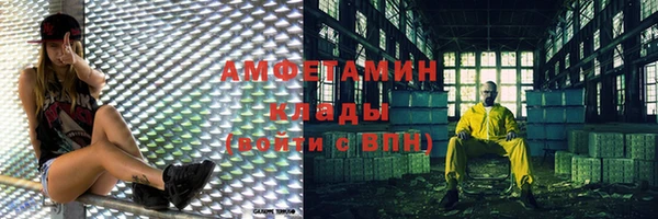 шишки Абаза