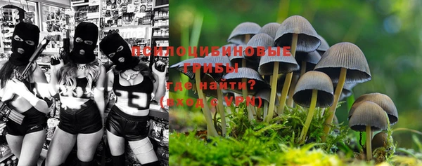 гашик Надым