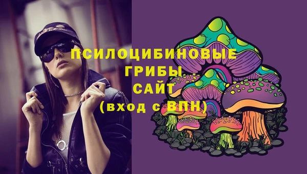 шишки Абаза