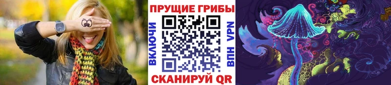 купить наркотики цена  Туапсе  Псилоцибиновые грибы Psilocybine cubensis 